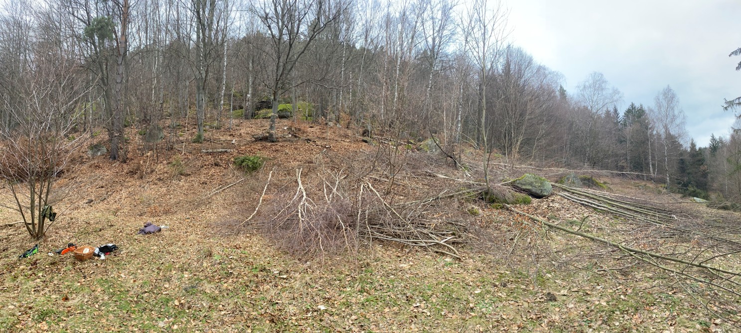 Pastviny pod Pulčínskými skalami.