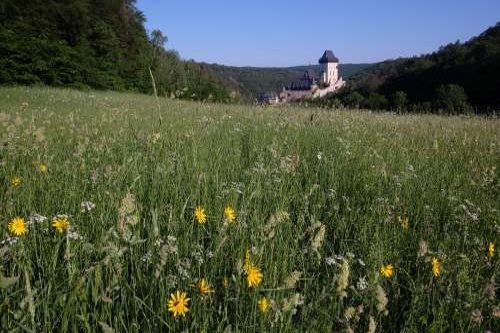 Pohled na Karlštejn.