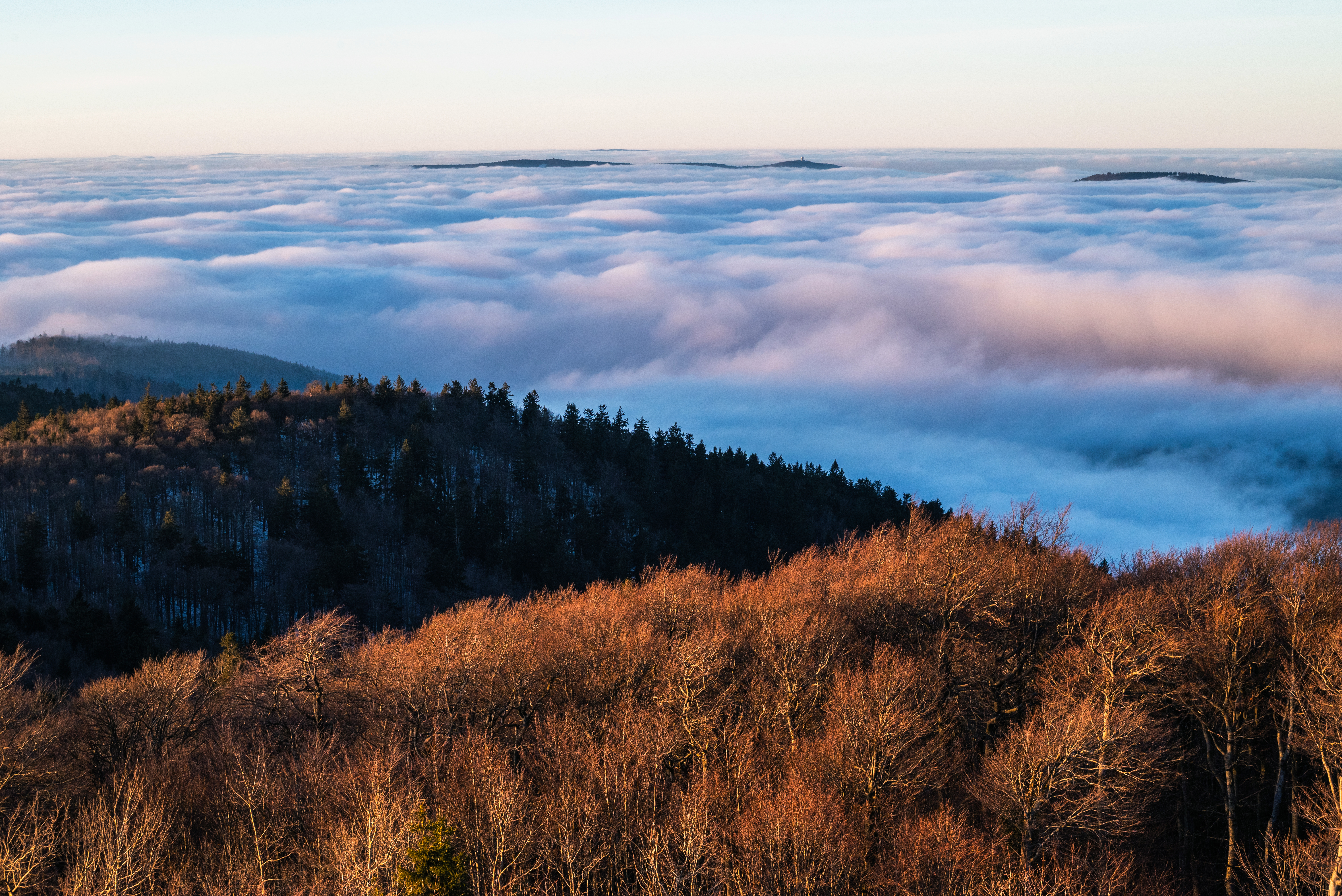 první místo - Václav Hruška, inverze nad lesem, foceno z Čerchova
