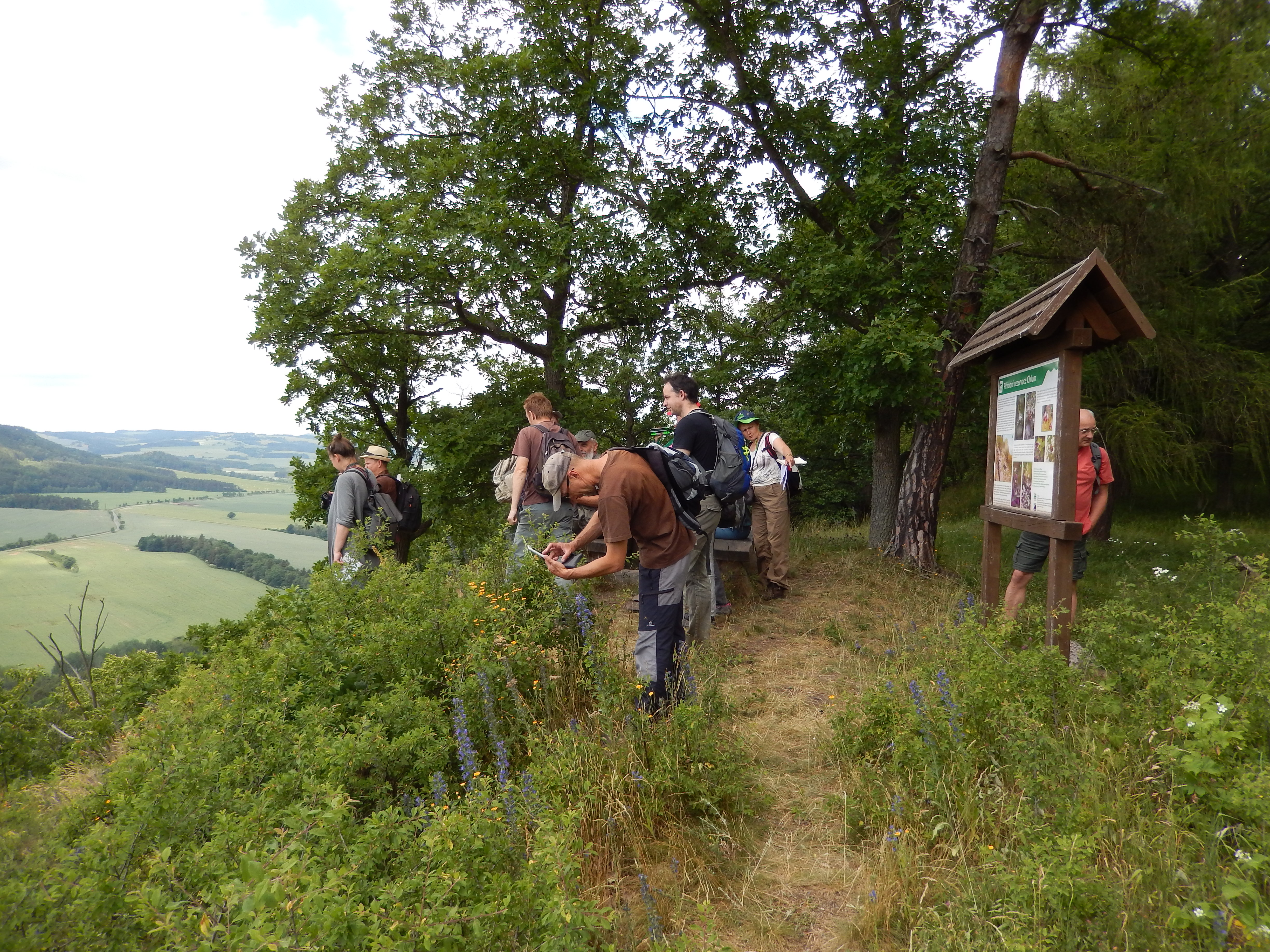 skupina botaniků na Chlumské hoře