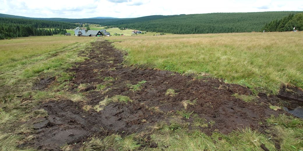 Obnova vodního režimu na Jizerce