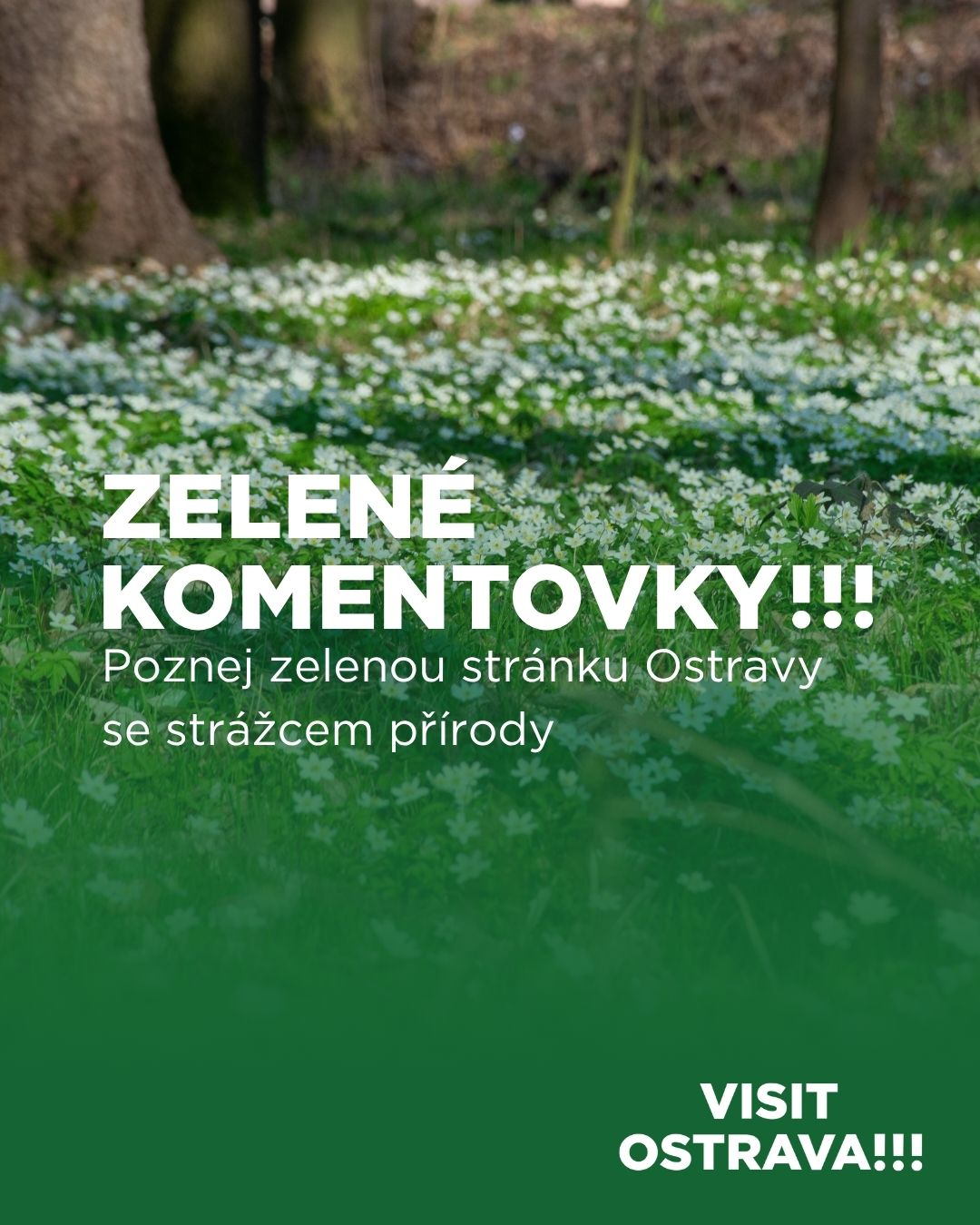 Komentovky.